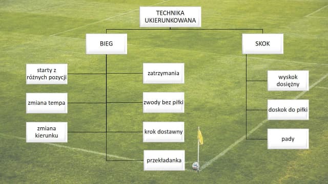 Jak się wybić w piłce nożnej? Kluczowe kroki do sukcesu zawodowego Jak się wybić w piłce nożnej? Kluczowe kroki do sukcesu zawodowego